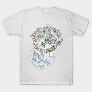 Star Constellations - Northern & Southern Hemispheres T-Shirt